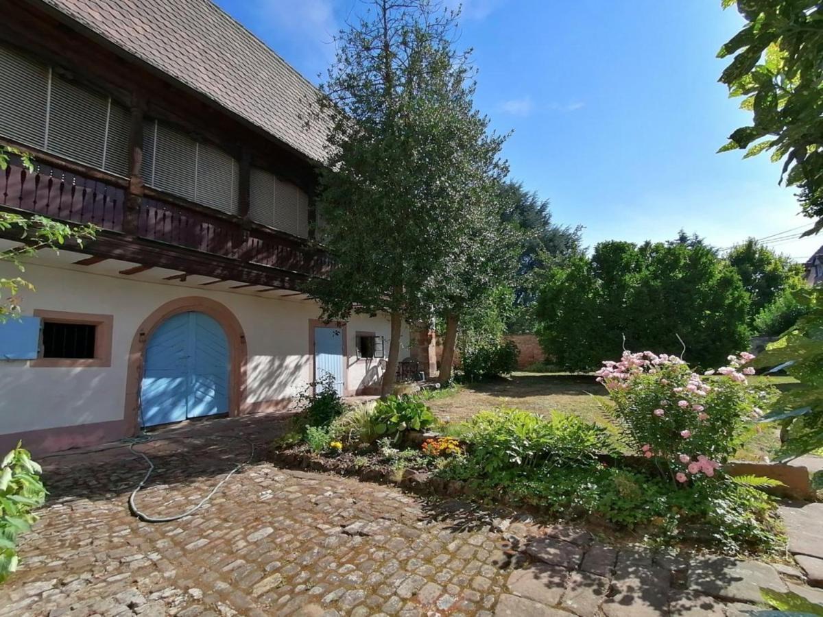 Maison Kobold Xvie Siecle Wissembourg Eksteriør billede