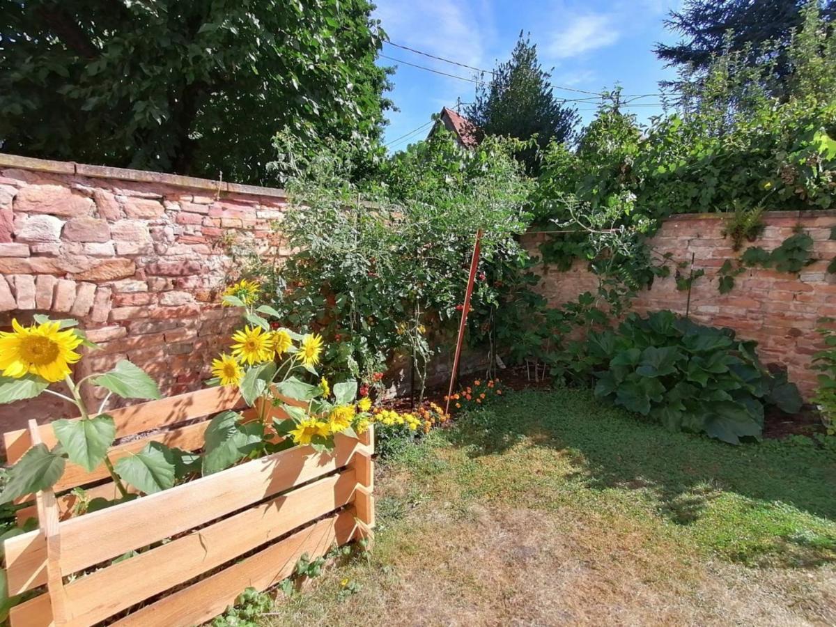 Maison Kobold Xvie Siecle Wissembourg Eksteriør billede