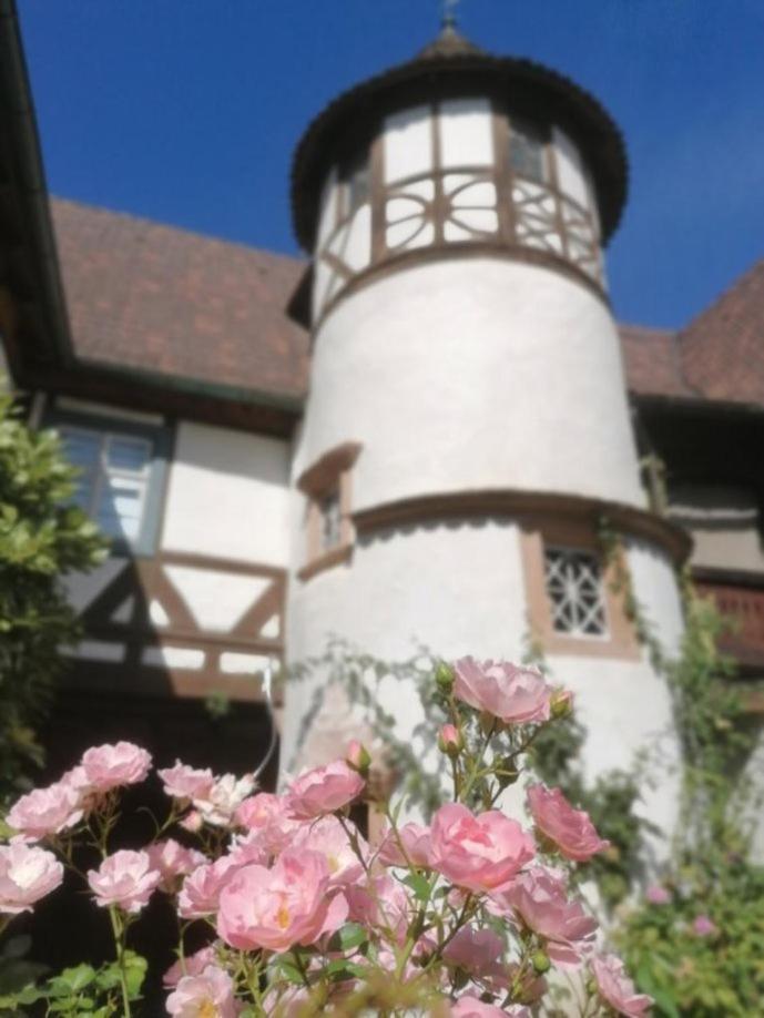 Maison Kobold Xvie Siecle Wissembourg Eksteriør billede