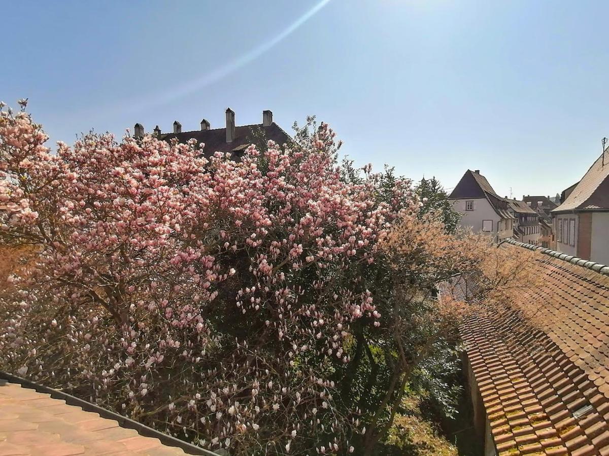 Maison Kobold Xvie Siecle Wissembourg Eksteriør billede