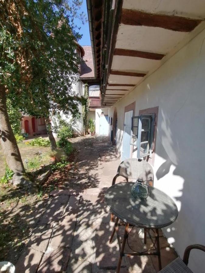 Maison Kobold Xvie Siecle Wissembourg Eksteriør billede