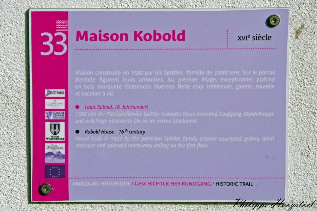 Maison Kobold Xvie Siecle Wissembourg Eksteriør billede