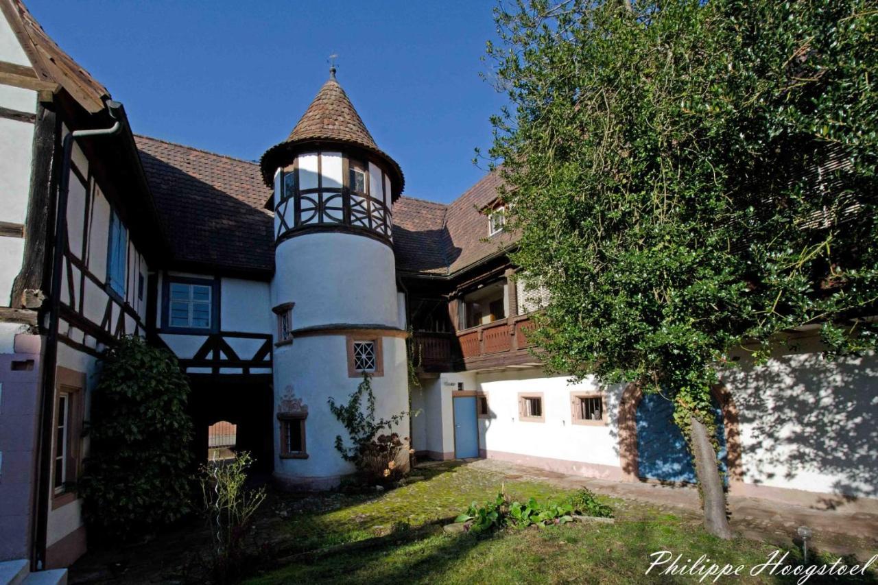 Maison Kobold Xvie Siecle Wissembourg Eksteriør billede