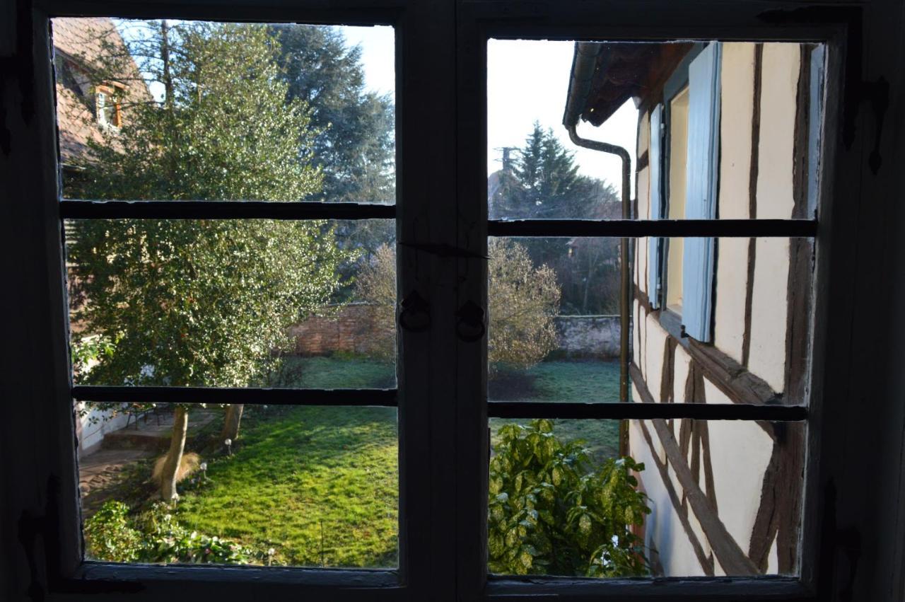 Maison Kobold Xvie Siecle Wissembourg Eksteriør billede