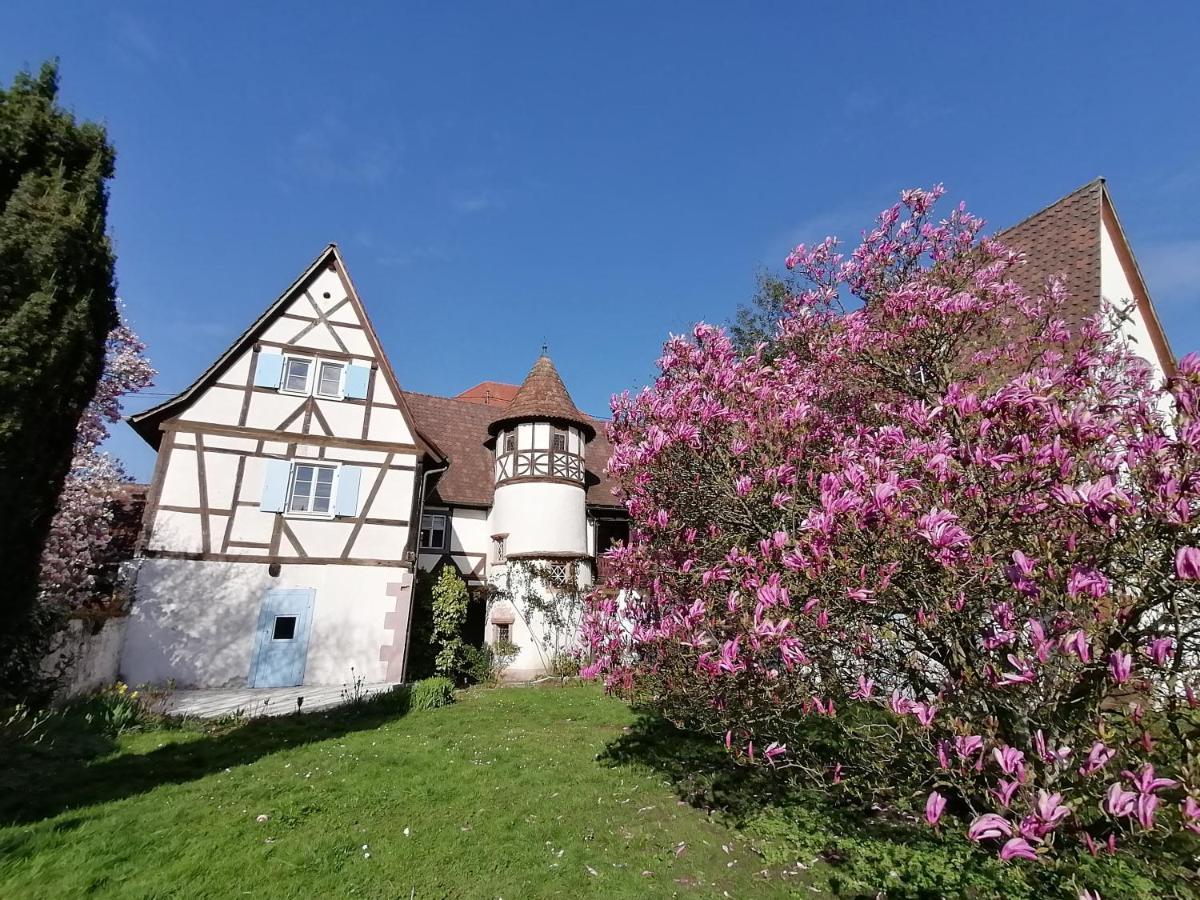 Maison Kobold Xvie Siecle Wissembourg Eksteriør billede